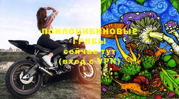 spice Сосновый Бор